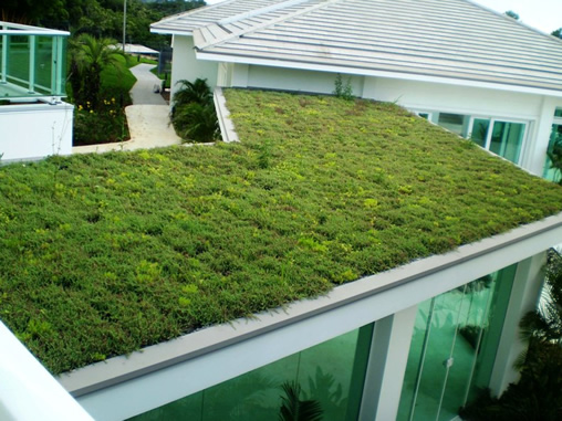 telhado-verde-3